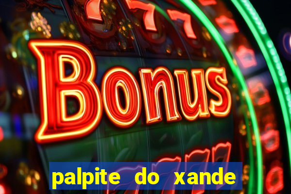 palpite do xande para hoje